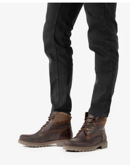 Botines Hombre Panama Jack Amur C10 Marrones | Marva Zapatería